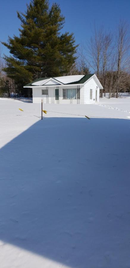 Chapel Hill Motel Brevort Dış mekan fotoğraf